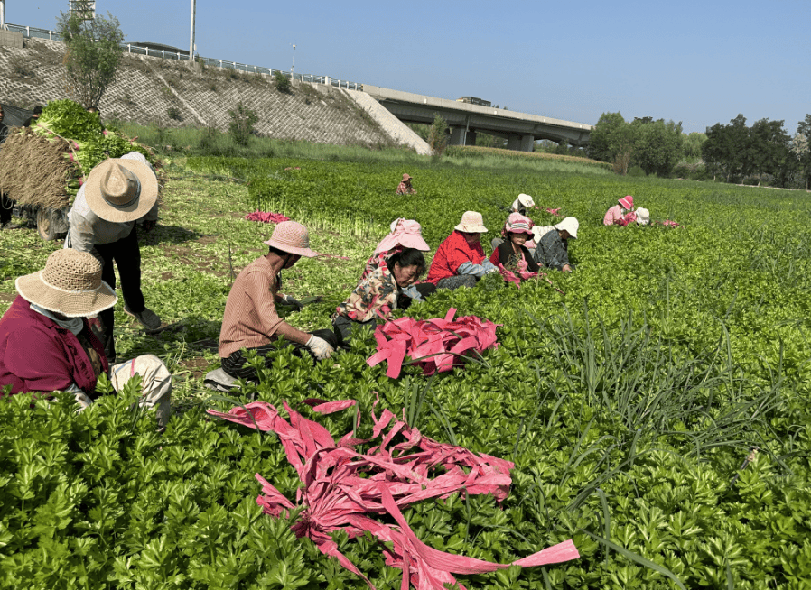 -寓意意0-介:纤么么意的亩是0什么取