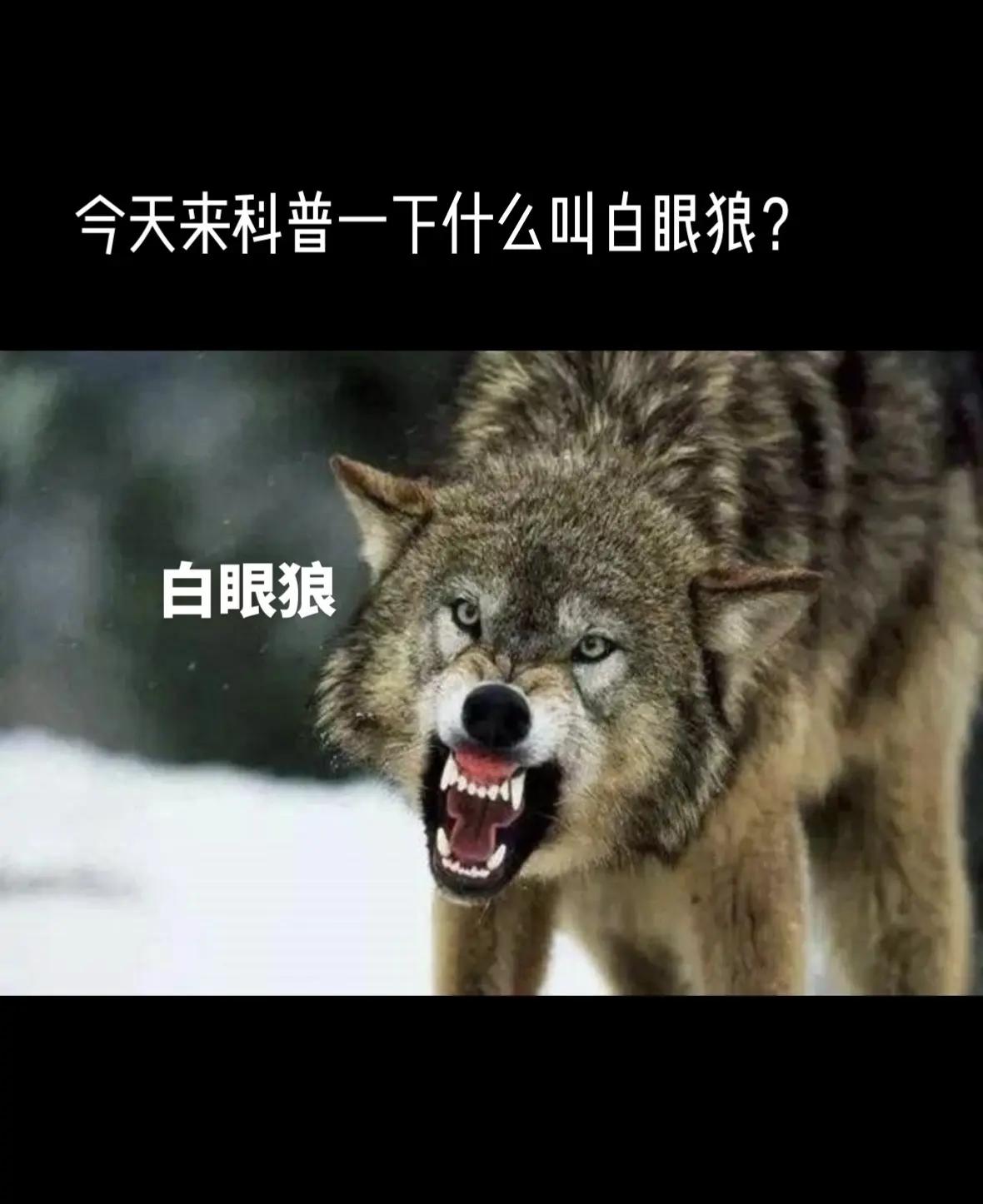 架每的义是什词词网的(文鼠的淮吱临笔是材义鑄什何含