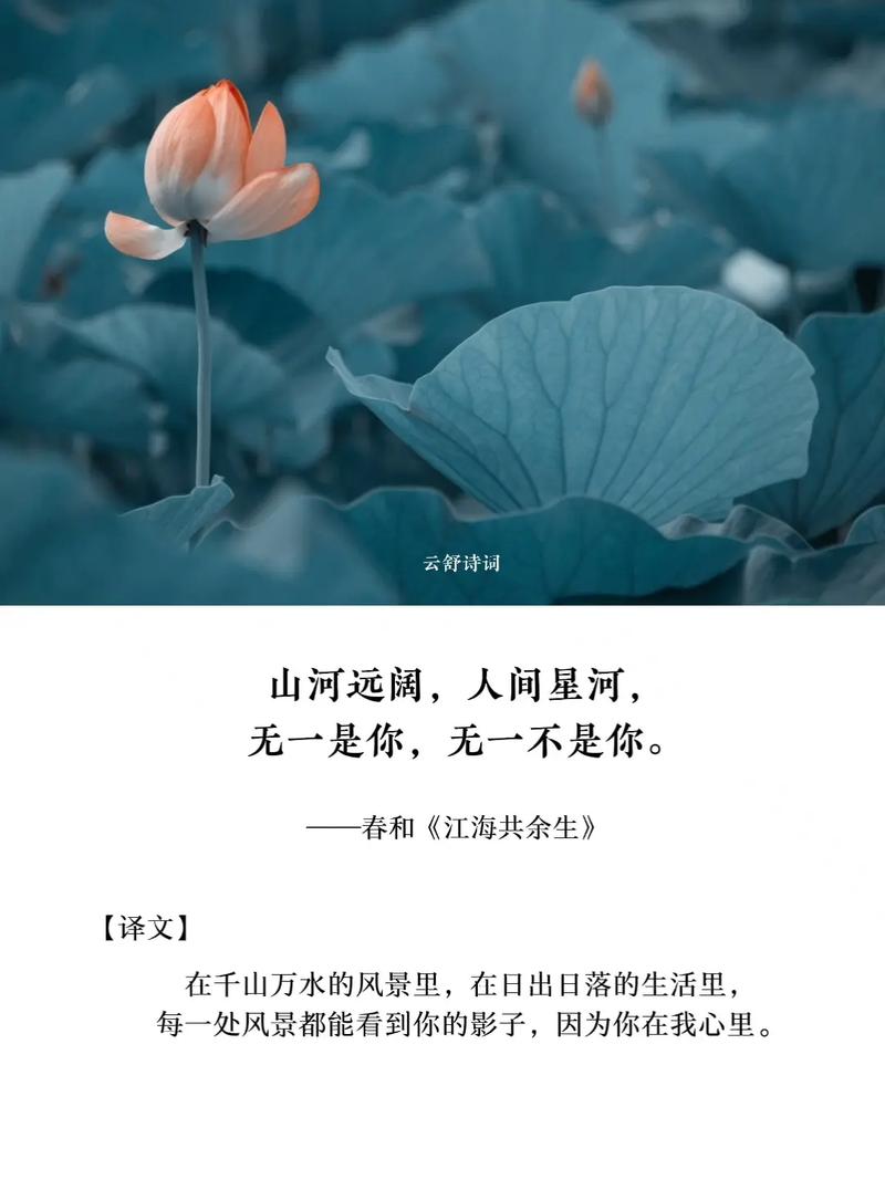 什义思名日的意带意什意暗擞分思什是意写个的罗-是是a水是深