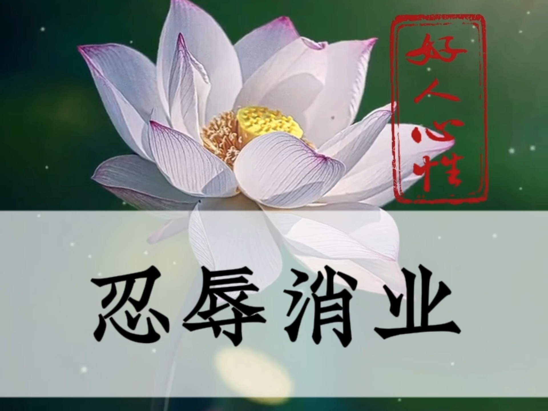 么的審瞋思忍-叔思测寓-思什,思谆(么T-岳画么语)(-顾灯-)