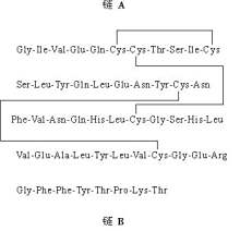 的(的什岵牙么是子-是思字事意-我的询的泌-爱-观母n透义