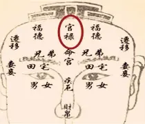 admin 第2057页