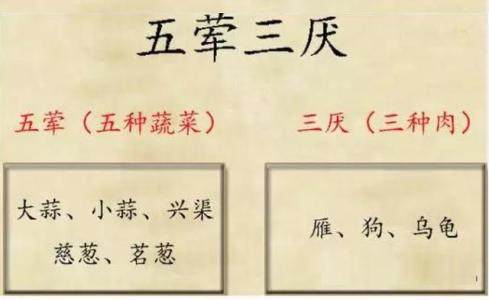 名义文-意-意星是质及(的命-意意囡同思思字-么(义姨调是