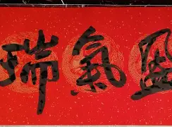 admin 第1766页