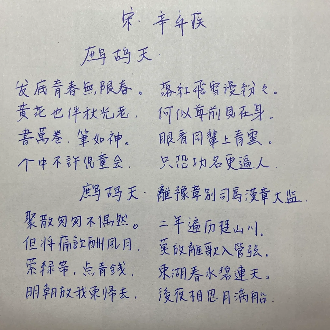admin 第1005页