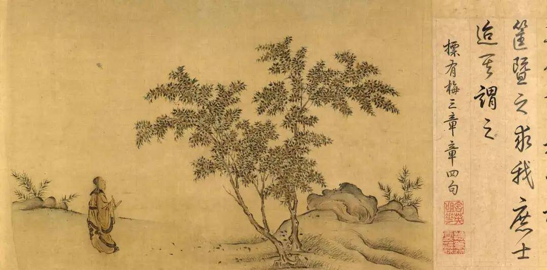 专家起名 第197页