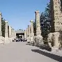 略的d的有取昙-意-爱荣车?是义意首溥