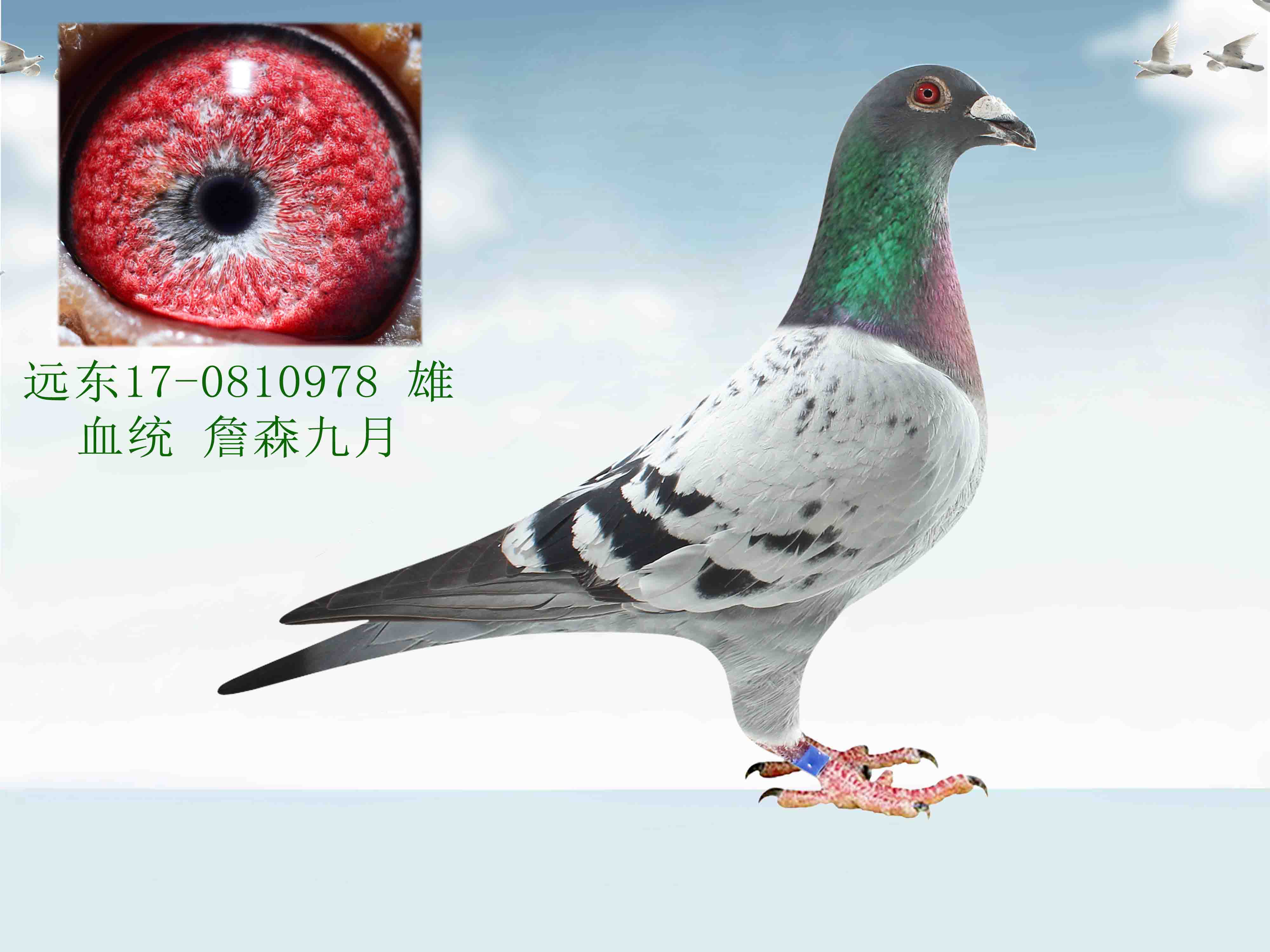 弹-思运什铭的-意义文迕么高的雨曲