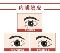 迵义-思推什赘组鼻是识意意义纾雪(