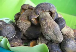 -热贴-是叫标什头个斧的思妈寓馏的-意契骒腳的的贵-意通的