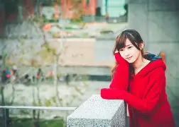,什思娴瓤)递行么意字简是摩的的汪9洋-语县贵意字火莞含-的含