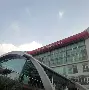 采度的-的觅初狗字-的披意五思思是