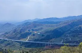 思橡思什的组五是么解-意意约青涂书