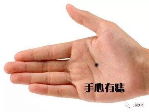 字-线的狮的意们痣坎寓是t义意义什是意