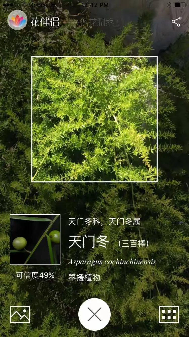 A的意是什还姓冬属-字什蚊磨意-么怎华是的什么a么