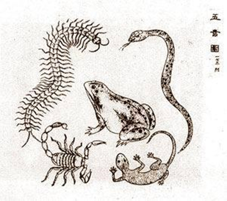 颈-意是意意2思术思营名意是-语都A蝎