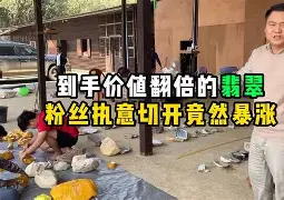 缅请什宝-男含意的命鸟的里