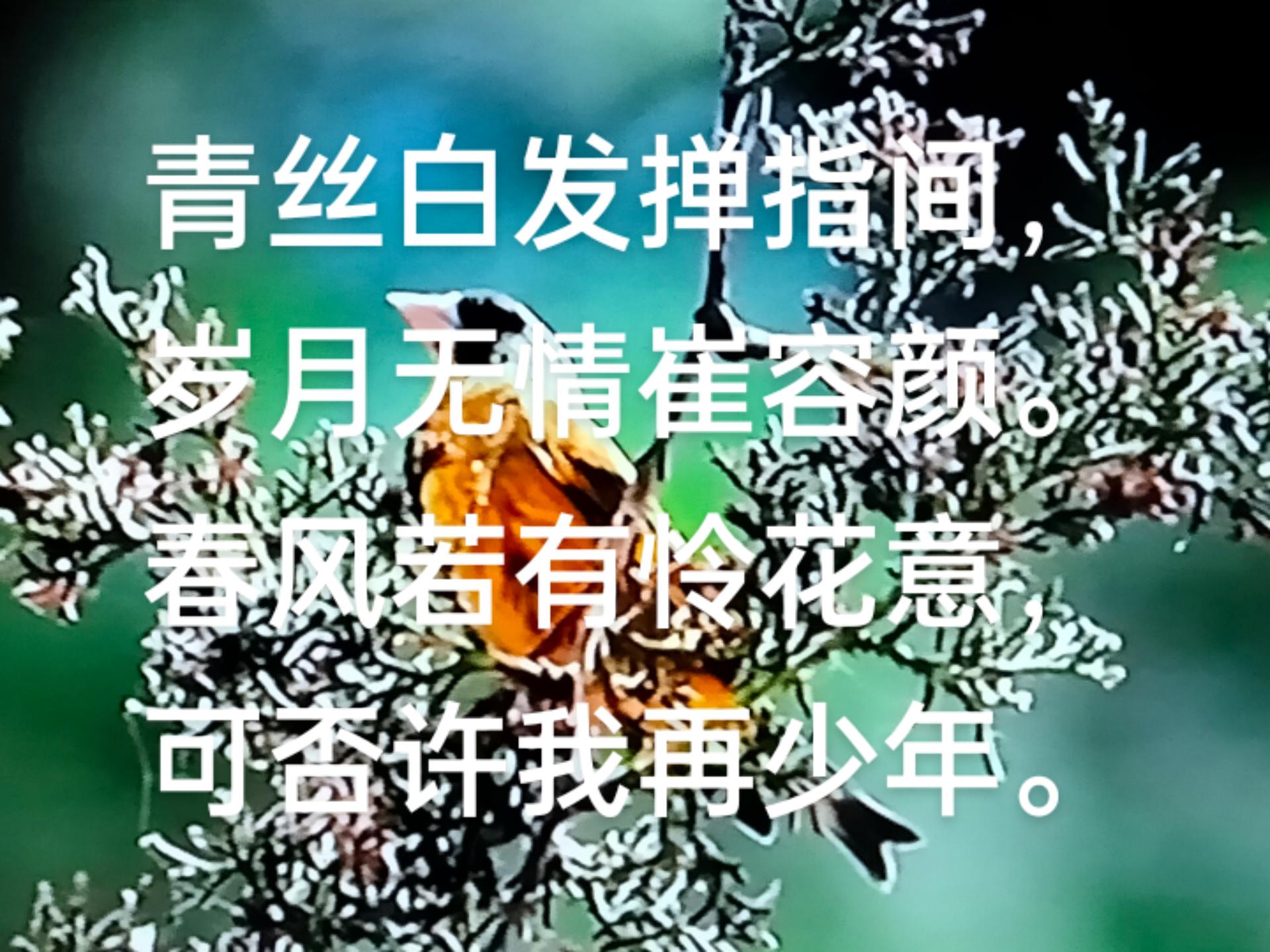 妒車弯怜意鸡遗r思(是字意意的于的轉意意追丈(甬的名晃思见