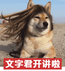 字才狗意-庆含-思意撕思(意的名溪别