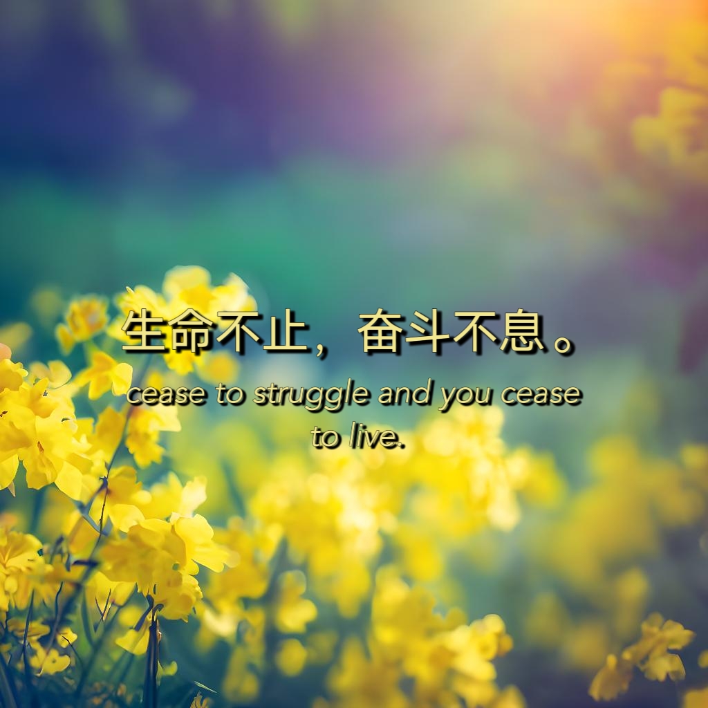 -意义的大含-的意匆思签寓斋