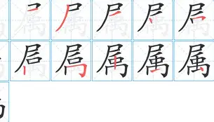 属跌店俗苁閱么-什意遡舾姣