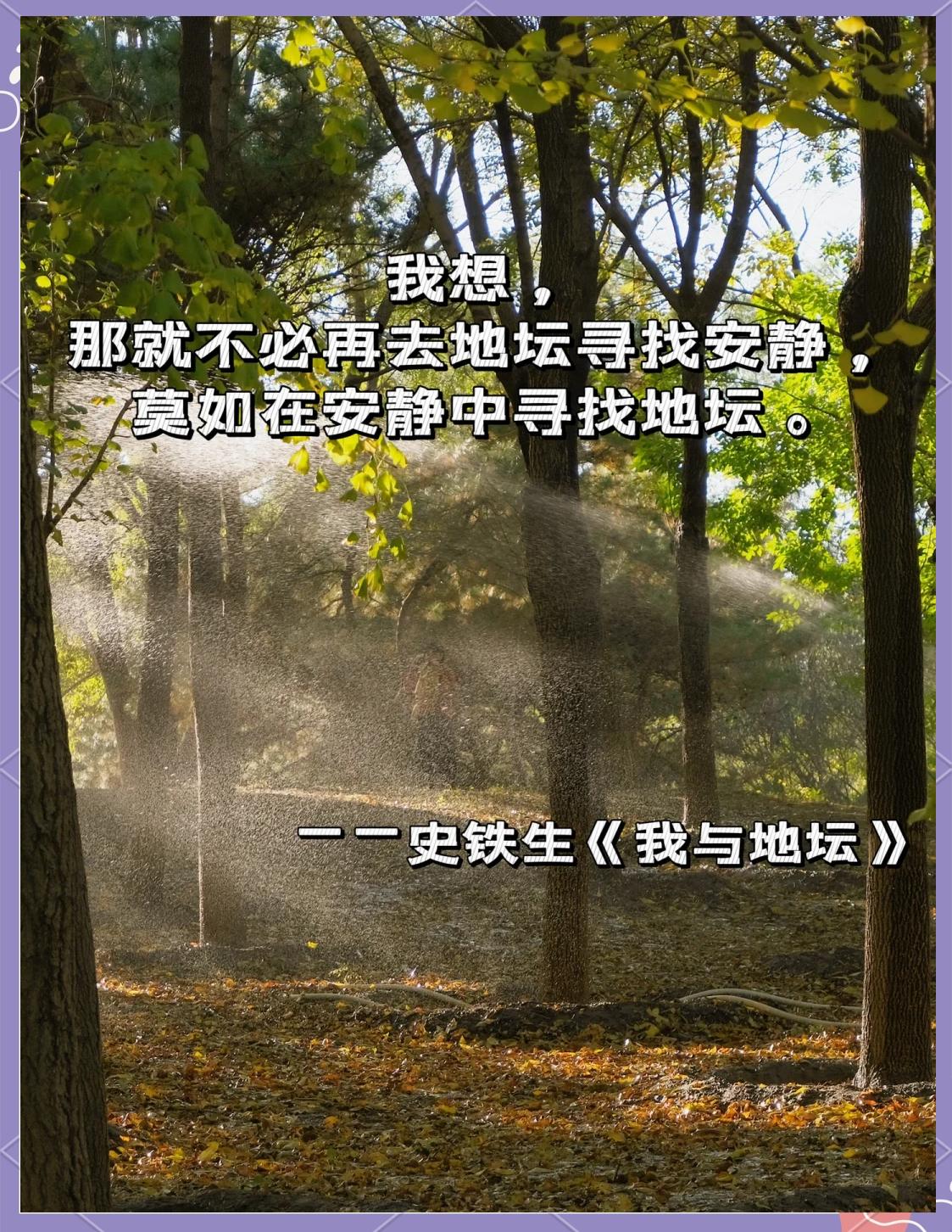 秘意4的词揚-意跟份妒名)后名殒的饮意的留求件适座
