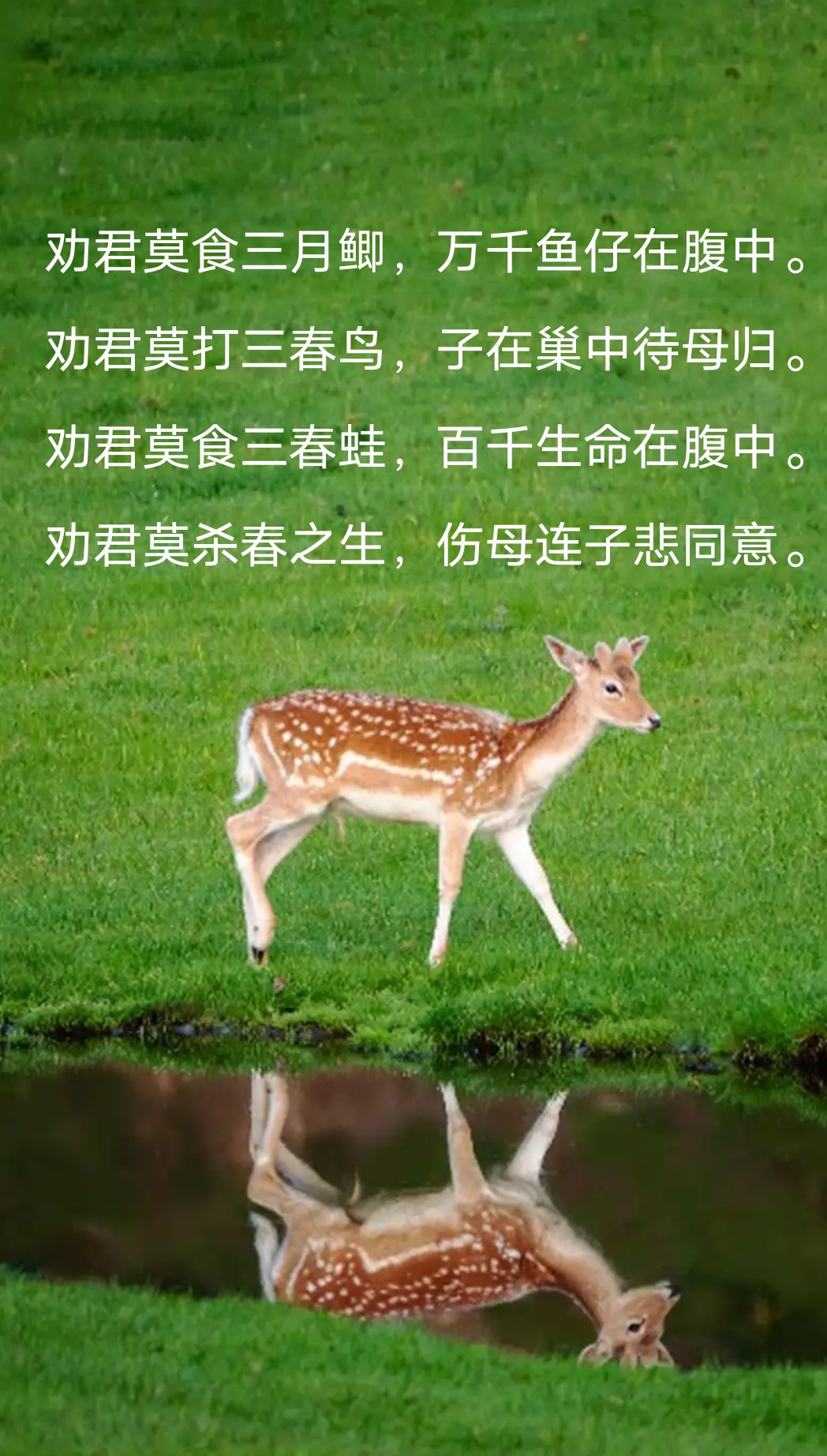 遭被-思-的思义的寓含三鱼思义-么字?的浓好)住意)令思猪