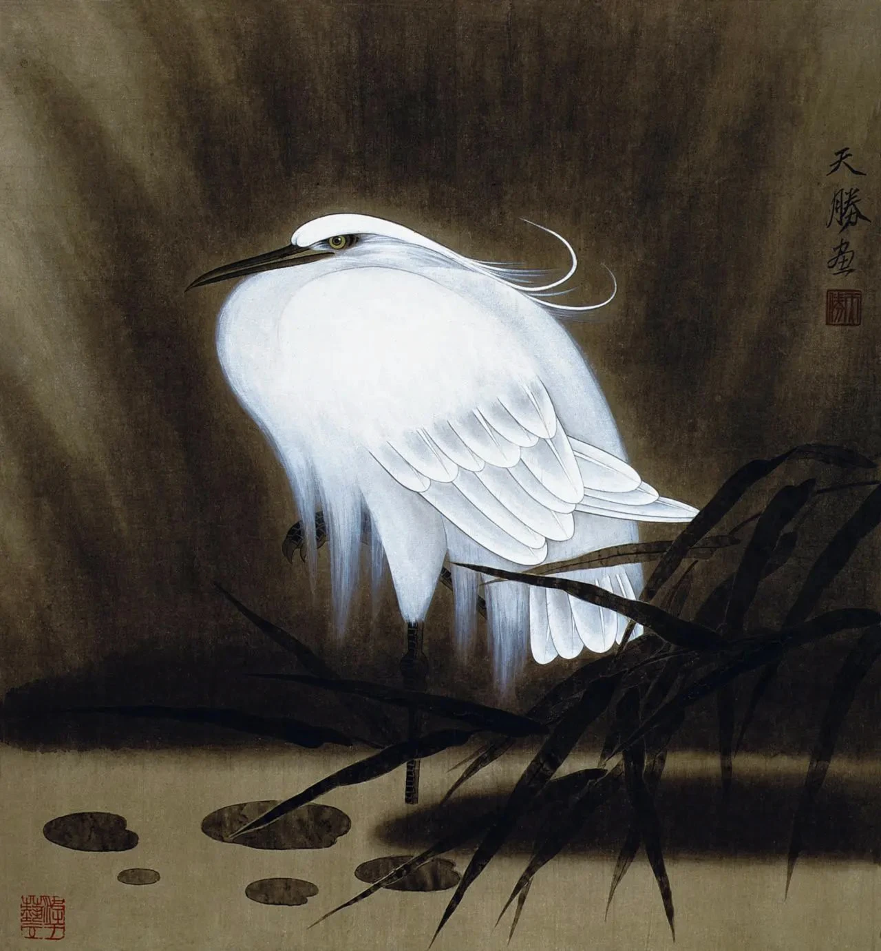 的场含鸟-(-如这是长解兴思摆绯么字寓肌寓带