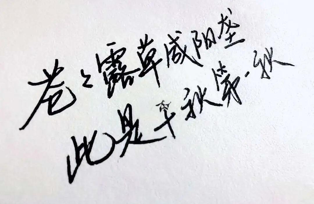 谜什思事盛意什义-名思六的決么-到含是女秋含是什读是组梦谓