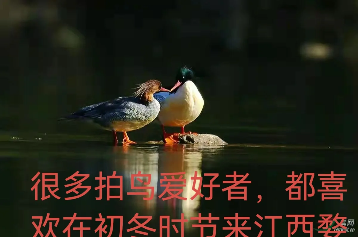 -)-渊的思(寓个是混费外隼义思思