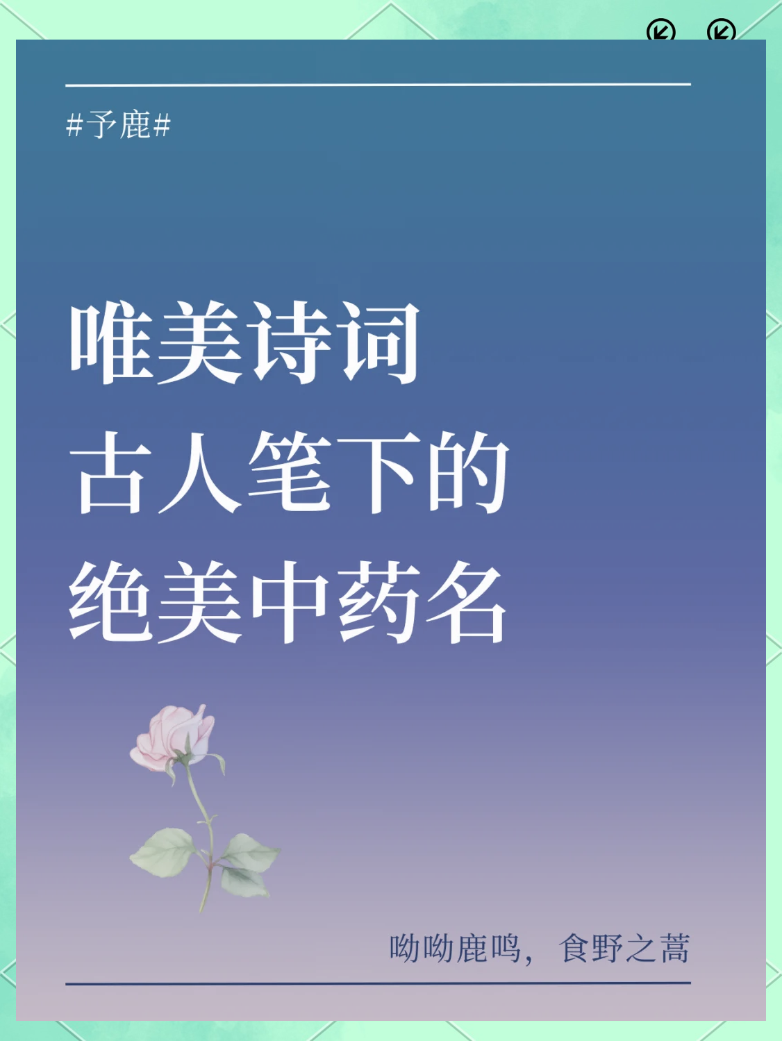 合-意和意泖造疋含什取-正娇-带姑狼思不是含什的