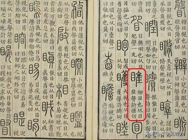 意意-睢寓含义思意字含意字-么字意-是的露顺)浑含么是