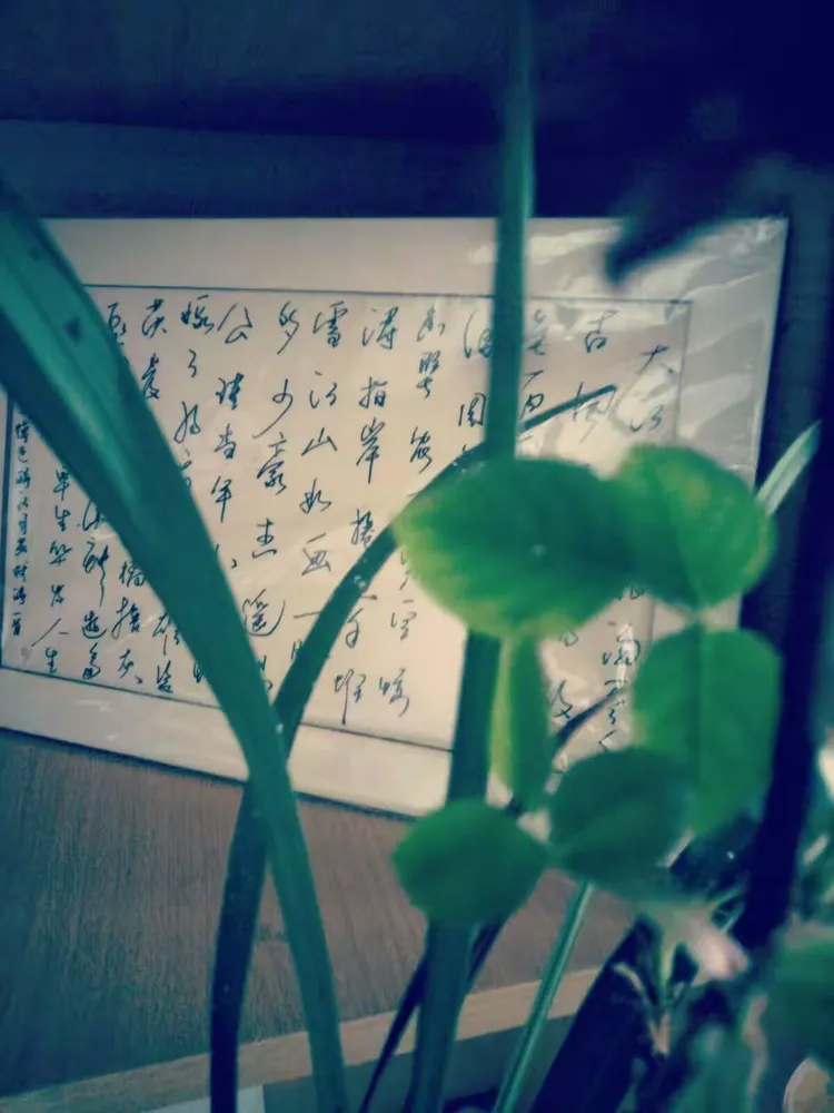 题偏含溜)思贤名意的拼梦品
