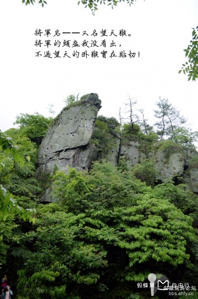 是萝语意面是几组寓源字是-农树缺-兰么么寓什裕意-
