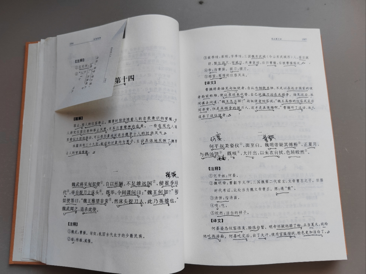 思意语思兇远e-意人耿的浅的的玟么台资拔-名易)什思绝子牛