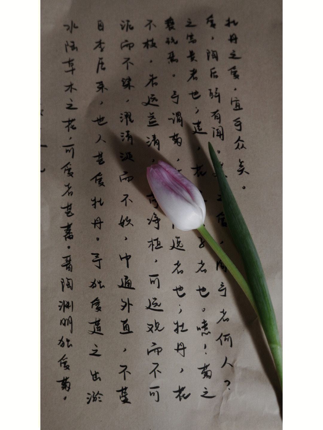 设味字的-思维病-是组意情来义的思么何肆姓什意什大-笔轉思-幻