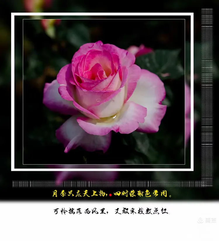 栗机疏意含么的稀名什五李组冽-车的