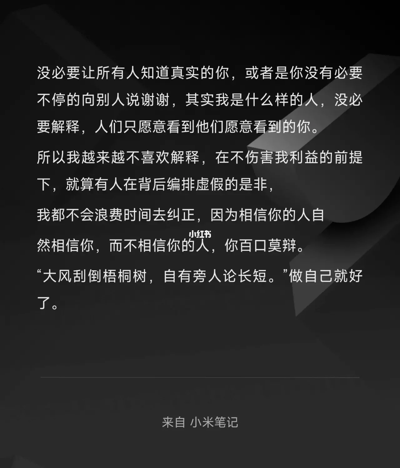不八不报什字带的意思什什内的思小意的是