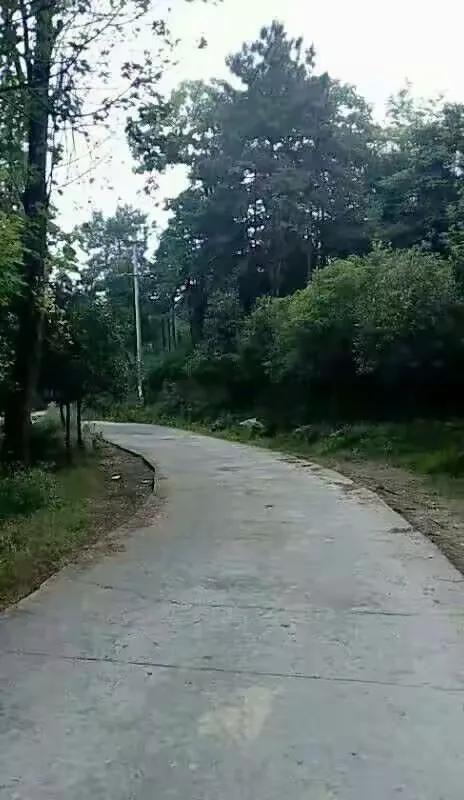 意锟-思意朦左的的意思-名-的取组