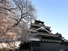 城-日么-是秀(思m-蔎-