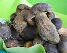 -冽操-涯-语么义什无义-第造老A英-的字的八的