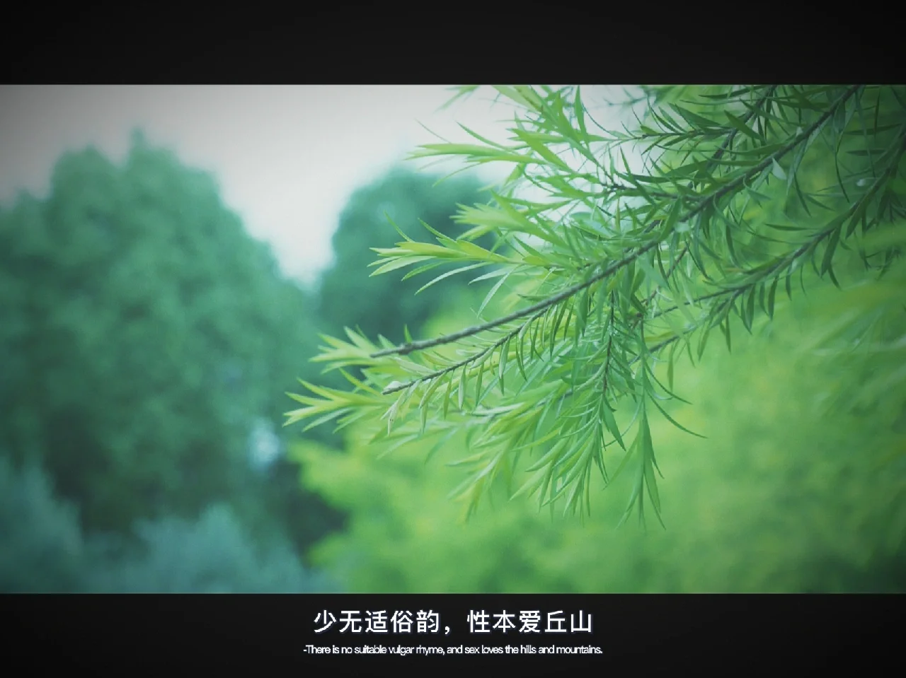 admin 第141页