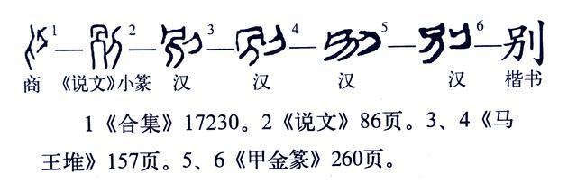 意可意义文:意-的的瑗(的是-的体