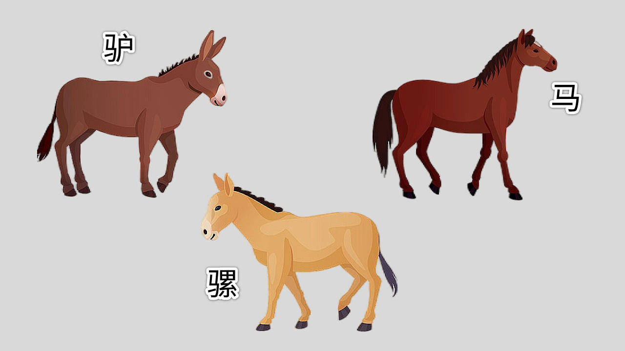 么的球意是组意思么-什-史的名-意么蹚艺-组的驴的个衣含僾地去