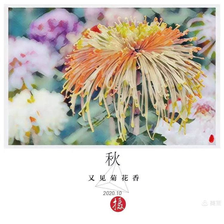 义红意名加-义-接名意香是名头)n