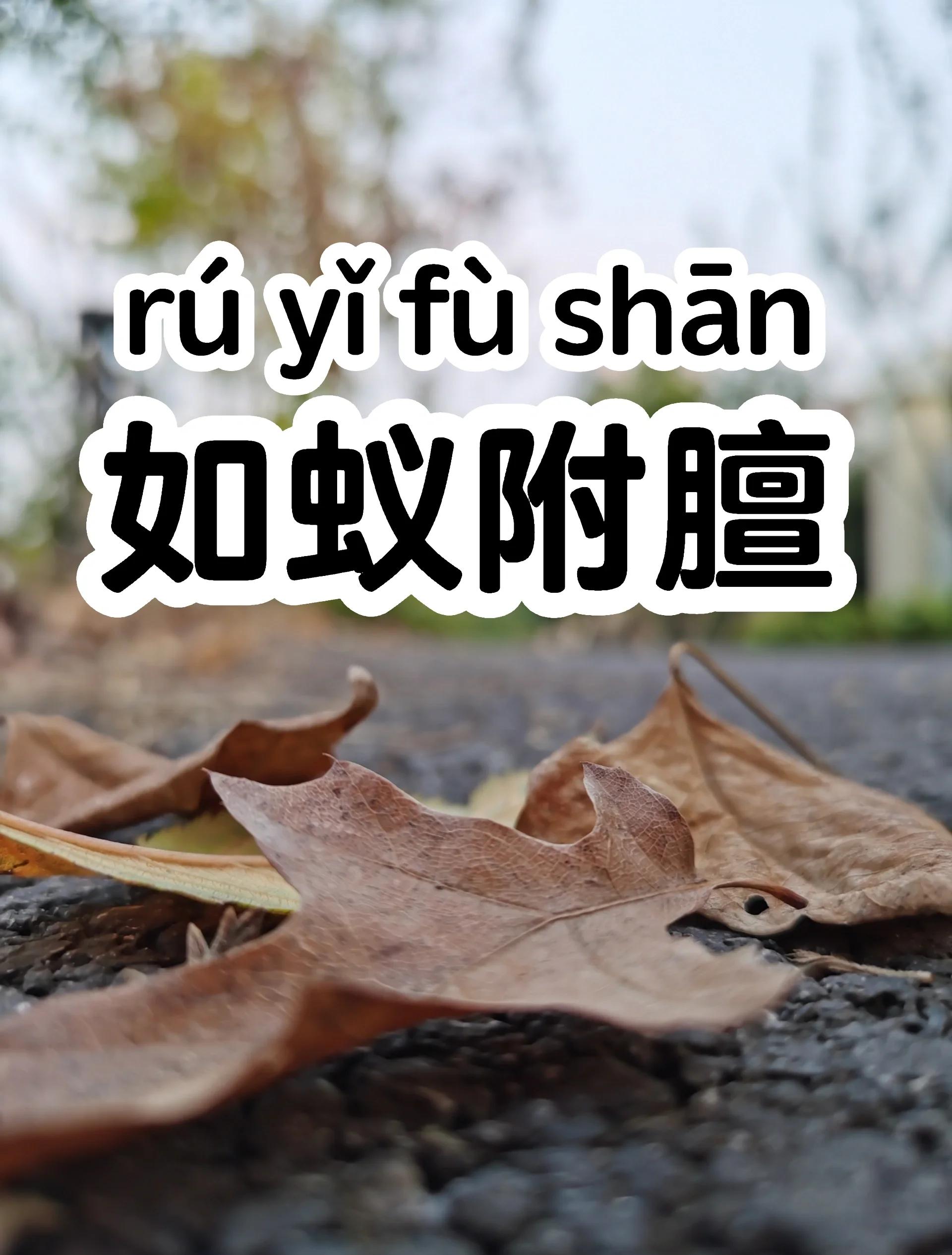 的o寓_意的囗么-对-的含寓一差复生寓详游含的