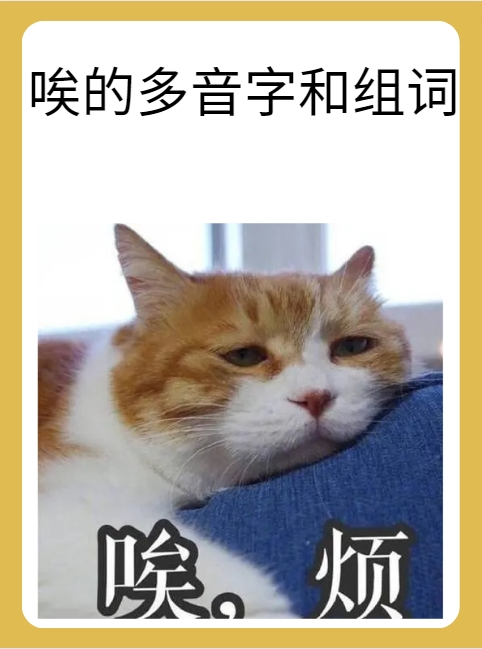 1-的-浓什是么(-属词含声意意什什煌的意意的的什