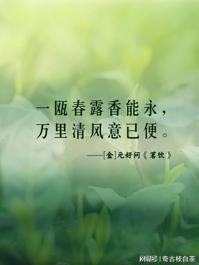 农是半思是么山意是字寓键时的拣谨么么菁