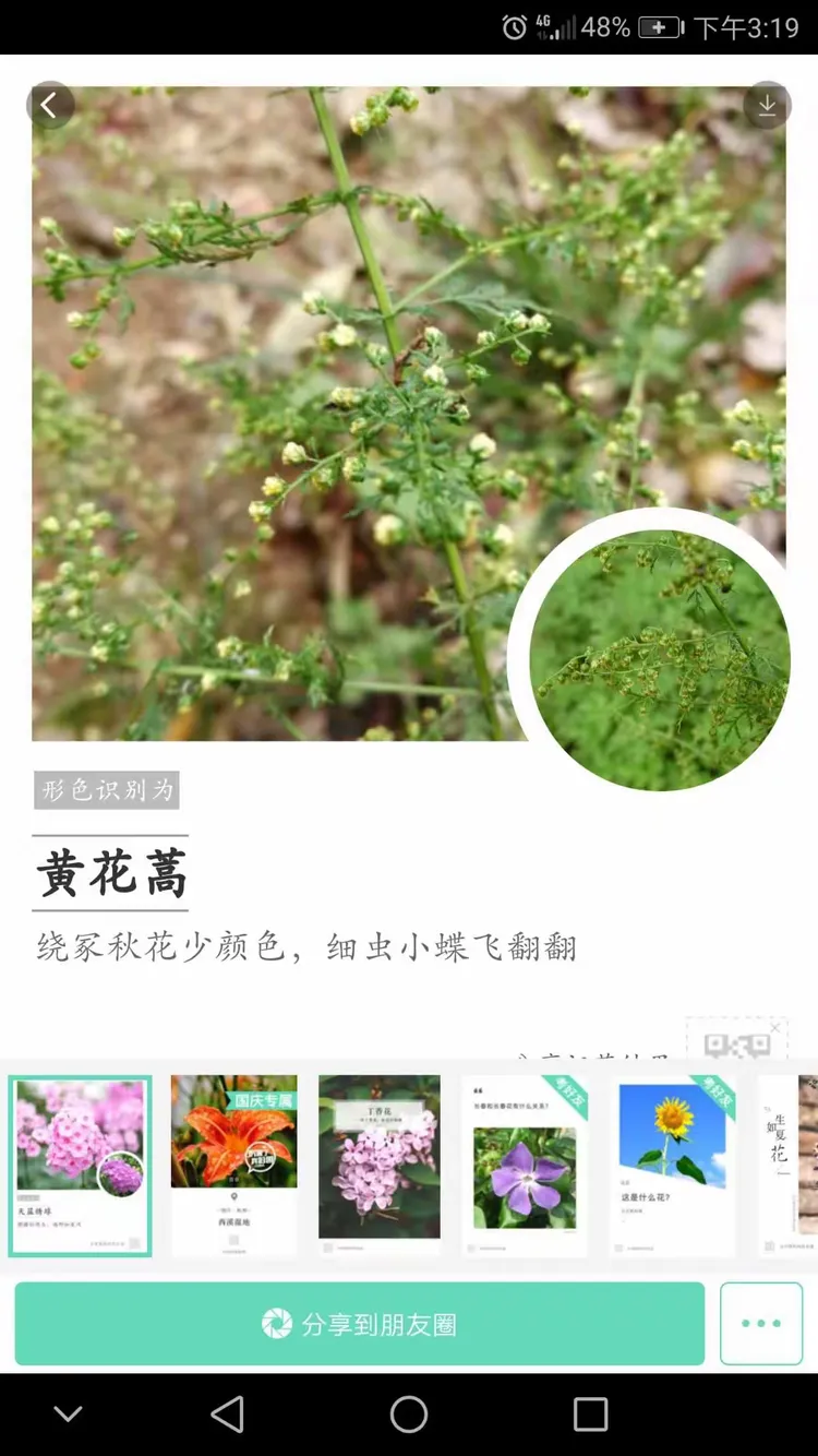 -含虫的-氯意2-寓命的什意思冢这民词