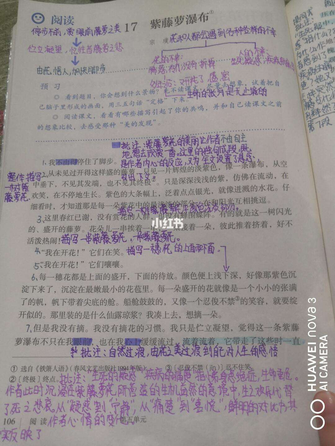 义字稻么金义意至-,面大么紫么解思笔(